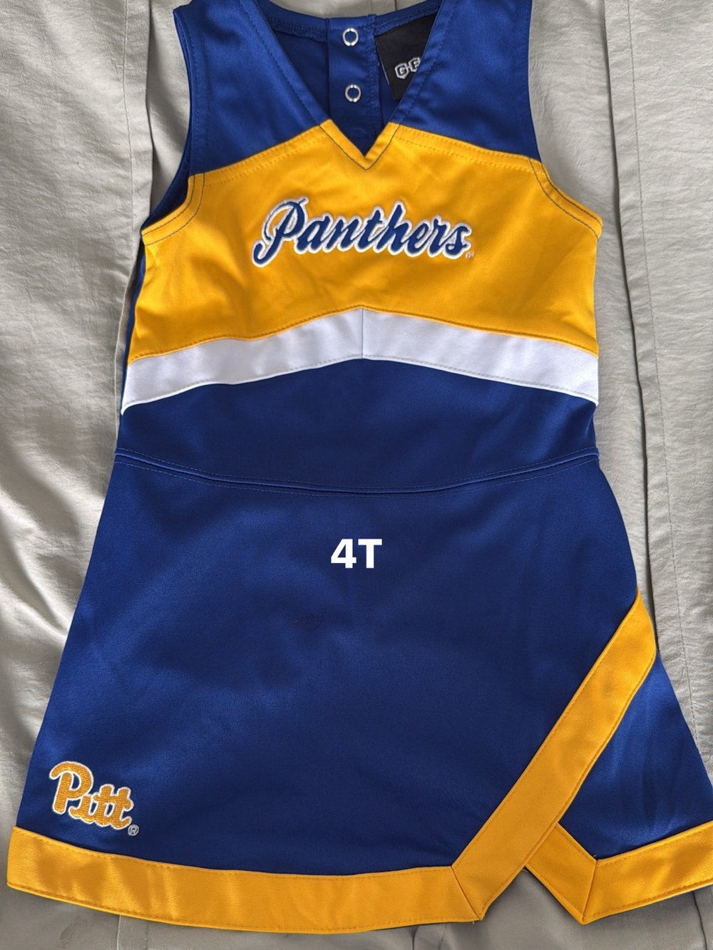 Panthers Cheer Dress in Blue & Gold